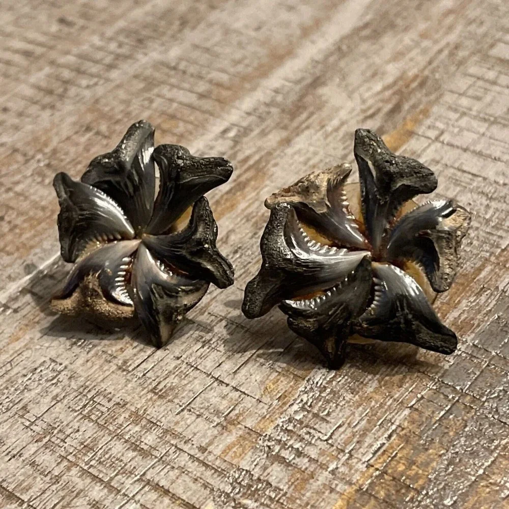 VTG Shark Tooth Teeth Fossil Silver‎ Tone Screw Back Earrings Handmade BOHO READ